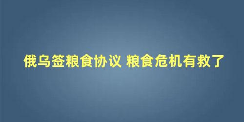 俄乌签粮食协议 粮食危机有救了